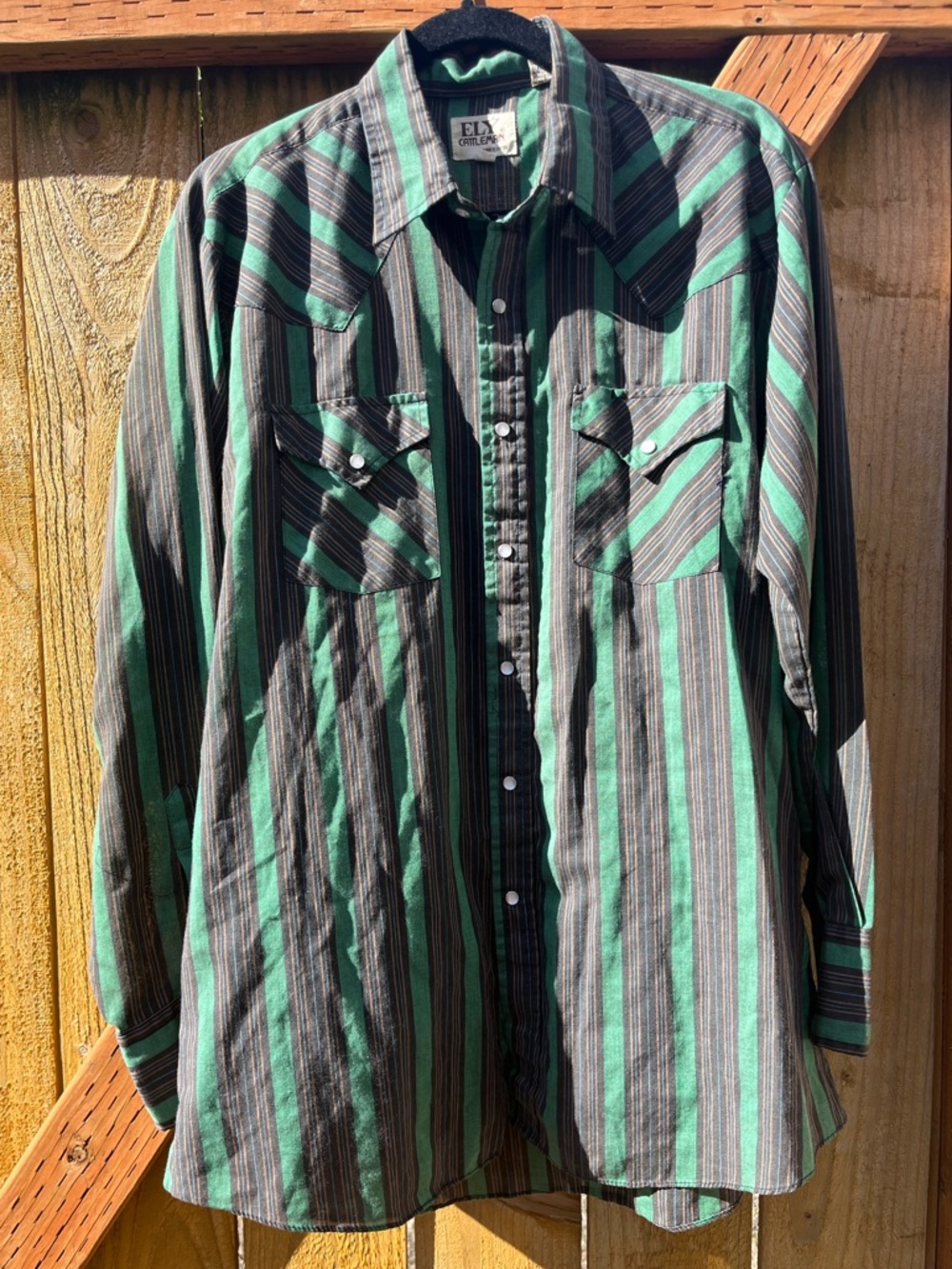 Vintage Western Green Button Down